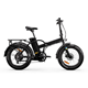 RAWBIKE Classic Elmoped Onyx