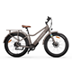 RAWBIKE URBAN Sand Beige