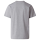 The North Face M Evolution Simple Dome Regular Short Sl Tnf Pale Grey Heather