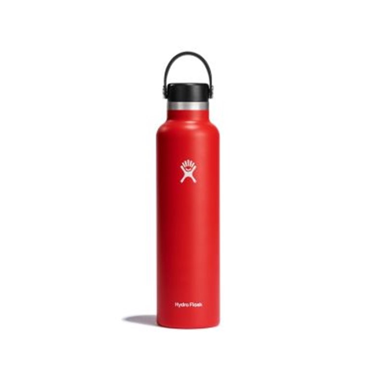 Hydro Flask Standard Mouth Bottle with Standard Flex Cap 709ml Goji