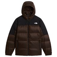 Dark Chestnut Black Hea