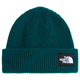 The North Face Salty Lined Beanie Pacific Teal
