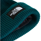 The North Face Salty Lined Beanie Pacific Teal