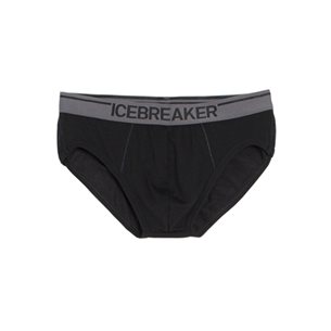 Icebreaker M Anatomica Briefs
