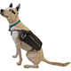 Ultimate Direction Dog Vest