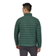 Patagonia M's Down SweaterMen Pinyon Green