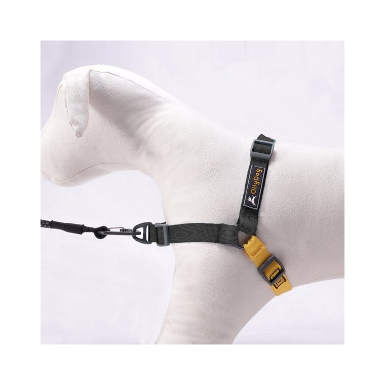 Köp OllyDog Essential Harness OutdoorExperten