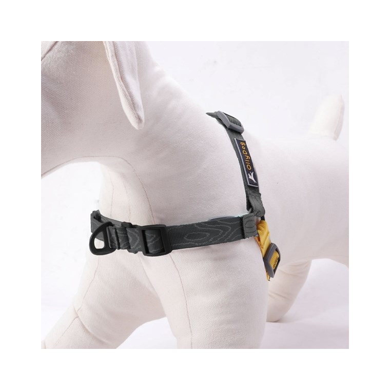 Köp OllyDog Essential Harness OutdoorExperten