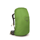 Osprey Sirrus 36 Backpack Women Succulent Green