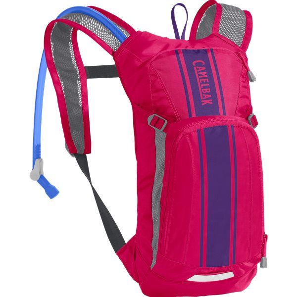 Camelbak Mini M.u.l.e. Hot Pink/ Purple Stripe