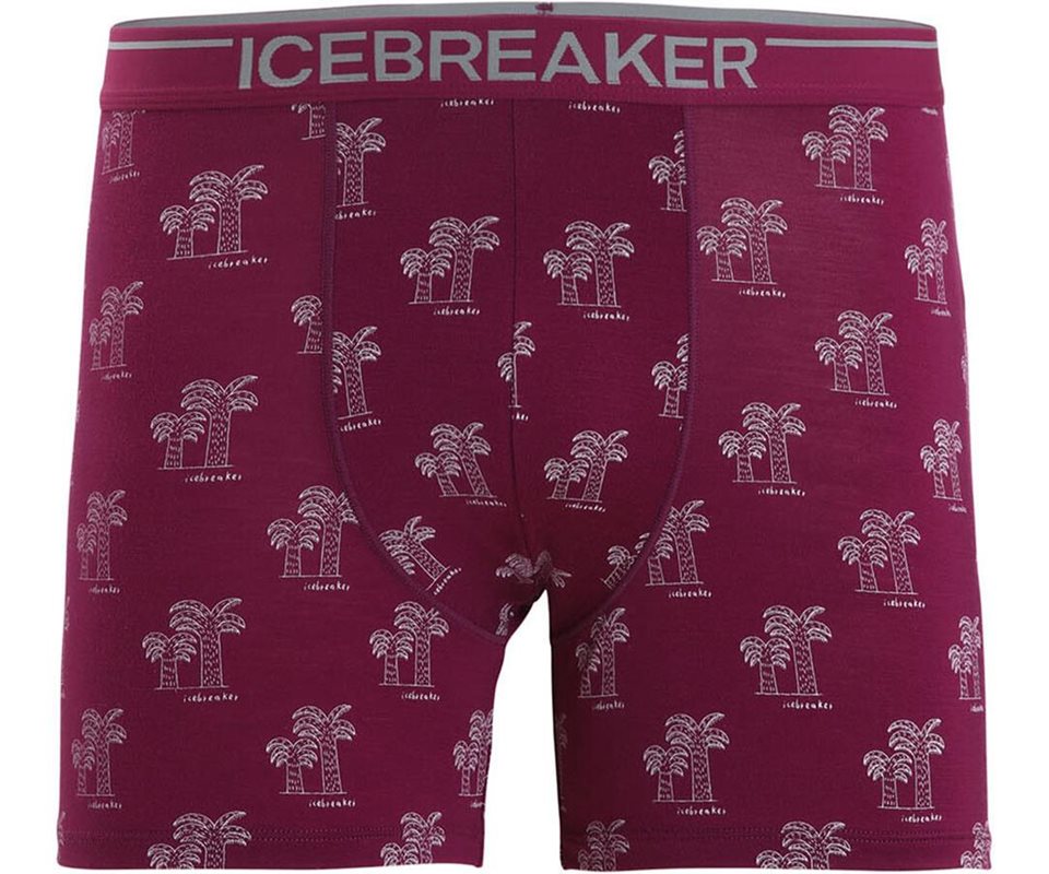 Icebreaker Anatomica Boxers Mens Go Berry/Aop