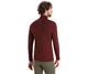 Icebreaker 175 Everyday LS Half-Zip Top Men