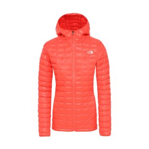 The North Face Face Plus ThermoBall Hoodie Jacket Women