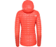 The North Face Face Plus ThermoBall Hoodie Jacket Women