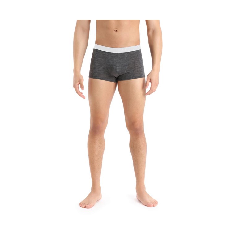 Icebreaker Anatomica Cool-Lite Trunks Men Monsoon Heather