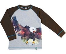 Molo T-shirt, Rayburn Ash tree