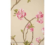 Nina Campbell NC131-01