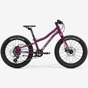 Merida Barncykel Matts J 20+ 20 Tum Lila/Svart