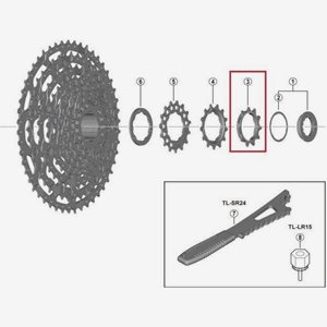 Shimano Sprocket Wheel 11T 11-Speed Cs-L