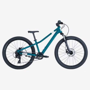 Scott Barncykel Roxter 400 24 Tum Grön