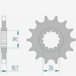 AFAM Steel StandardFram Sprocket 21607 - 525