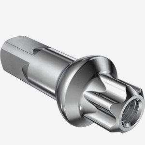 DT Swiss Ekernippel Squorx Pro Head Prolock 15mm Silver