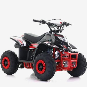Fyrhjuling Viarelli Agrezza 90cc
