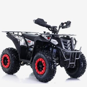 Fyrhjuling Viarelli Hunter 150cc 10" 60 km/h