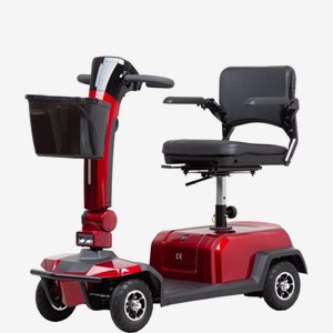 Promenadscooter Skand Leijona 800