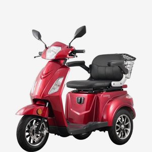 Promenadscooter Skand Leijona 1200