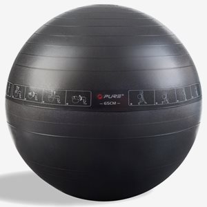 Pure2Improve Gymboll Exercise Ball