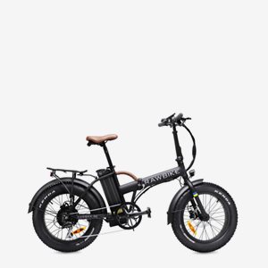 Rawbike 4X Matte Black