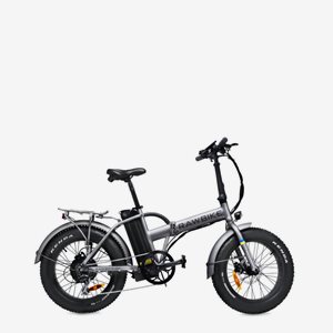 Rawbike 4X Grey Black Edition