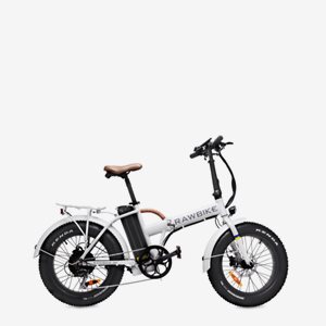 Rawbike 4X Snowstorm