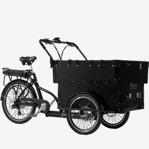 Cargobike Lådcykel Classic Kindergarten