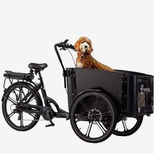 Cargobike Lådcykel Flex Dog
