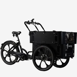 Cargobike Lådcykel DeLight Kindergarten