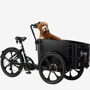 Cargobike Lådcykel DeLight Dog