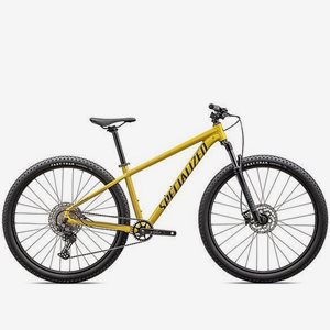 MTB Specialized Rockhopper Expert SatinMetallic Sulphur