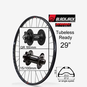 Framhjul Ready23 29" Svart Dischub 15-100mm