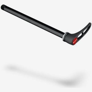 DT Swiss Dt Thru Axle, Rws RearA