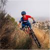 Endura Cykelhjälm MT500 Blueberry