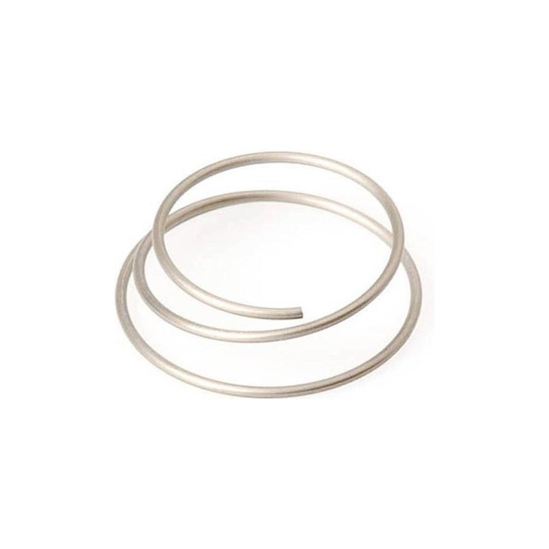 DT Swiss Reservfjäder Star Ratchet Spring