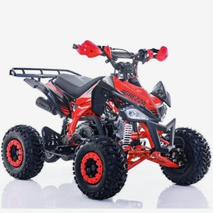 Fyrhjuling Viarelli Agrezza 110cc 55 km/h
