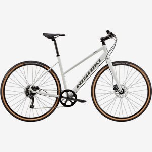 Nishiki Cityhybrid Pace Dam Slagskeppsgrå