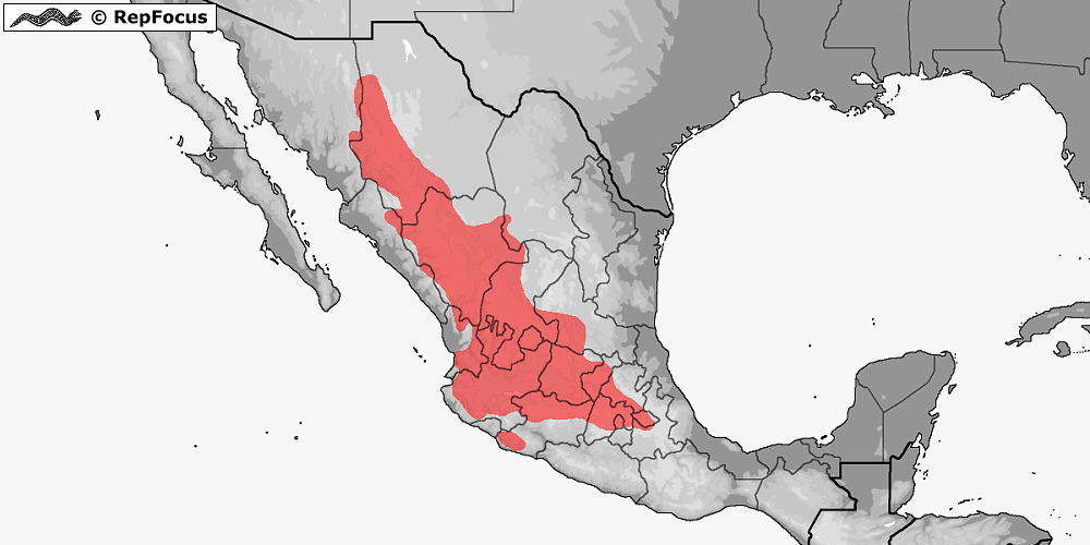 Utbredningsområde för mexikansk strumpebandssnok
