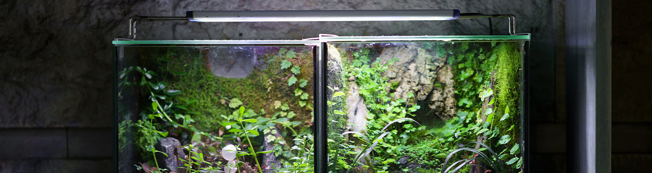 Två fyllda akvarium som delar belysning