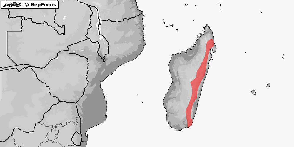 Utbredningsområdet för Phelsuma quadriocellata