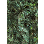 Ocean Nutrition - Green Marine Seaweed - grönt Sjögräs - 12 g