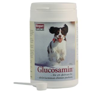 Glucosamin - 250gr - Mot Ledbesvär